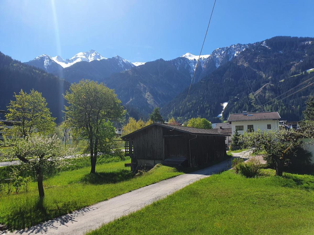 Landhaus Dornau Apartments Mayrhofen Extérieur photo