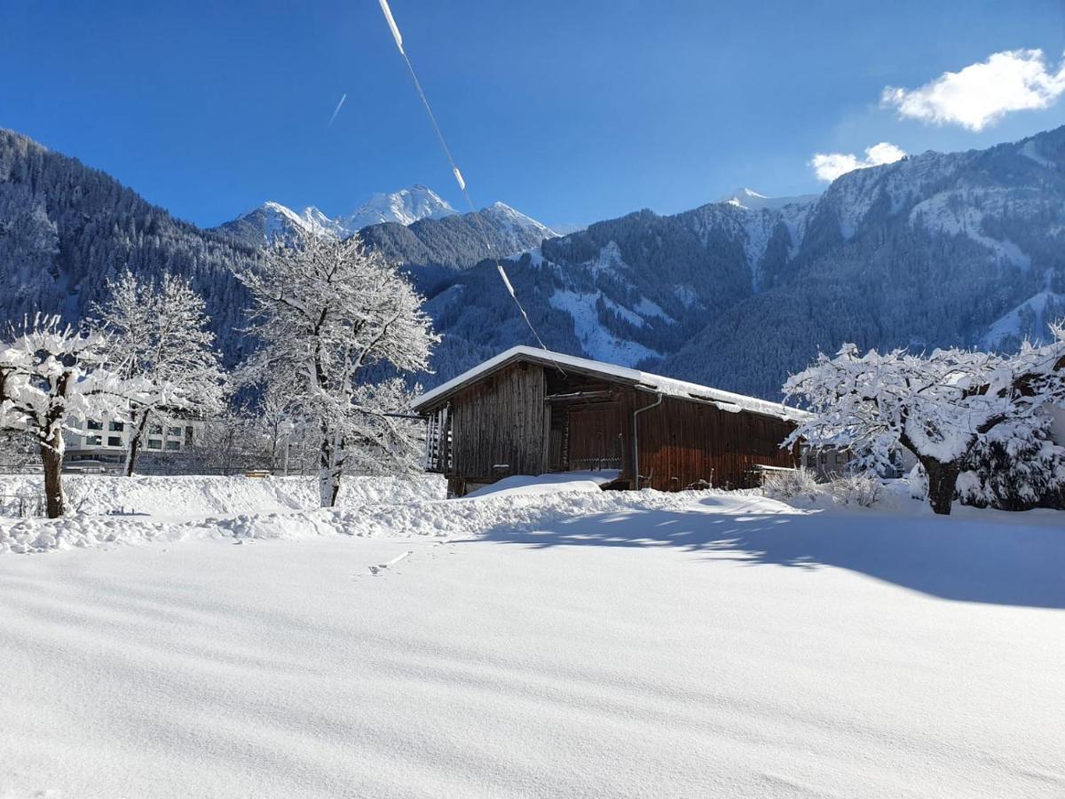 Landhaus Dornau Apartments Mayrhofen Extérieur photo